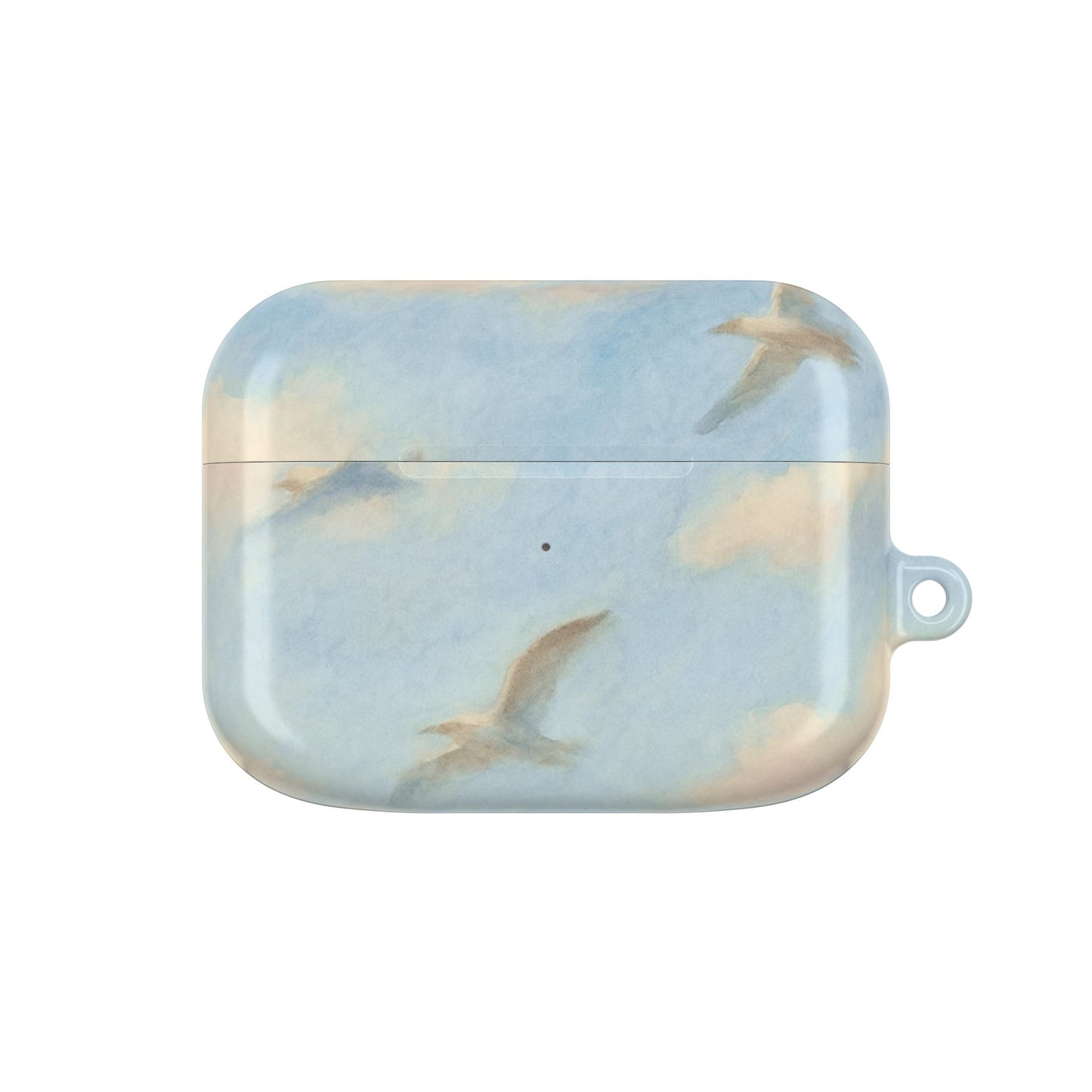 1989 Era Seagulls AirPod Case