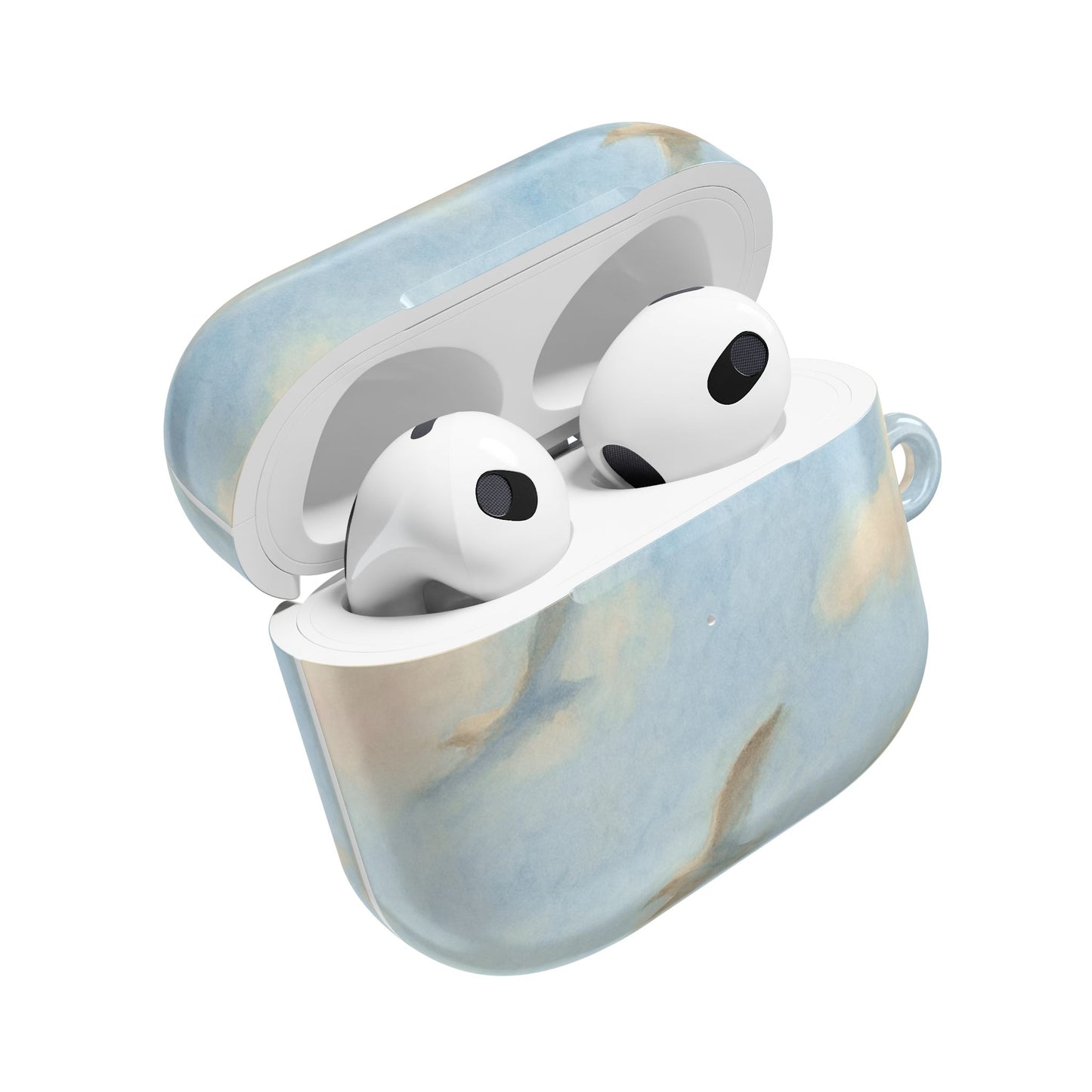 1989 Era Seagulls AirPod Case