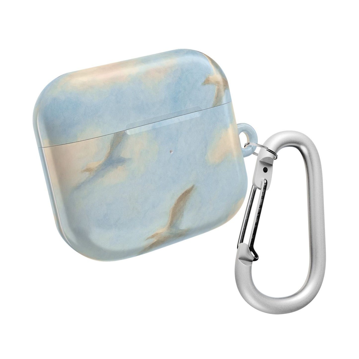 1989 Era Seagulls AirPod Case
