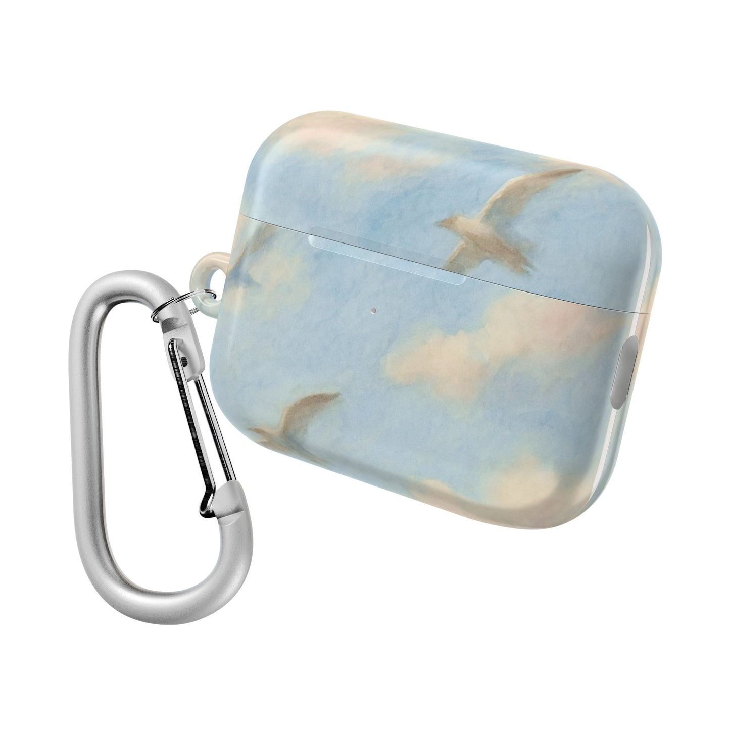 1989 Era Seagulls AirPod Case