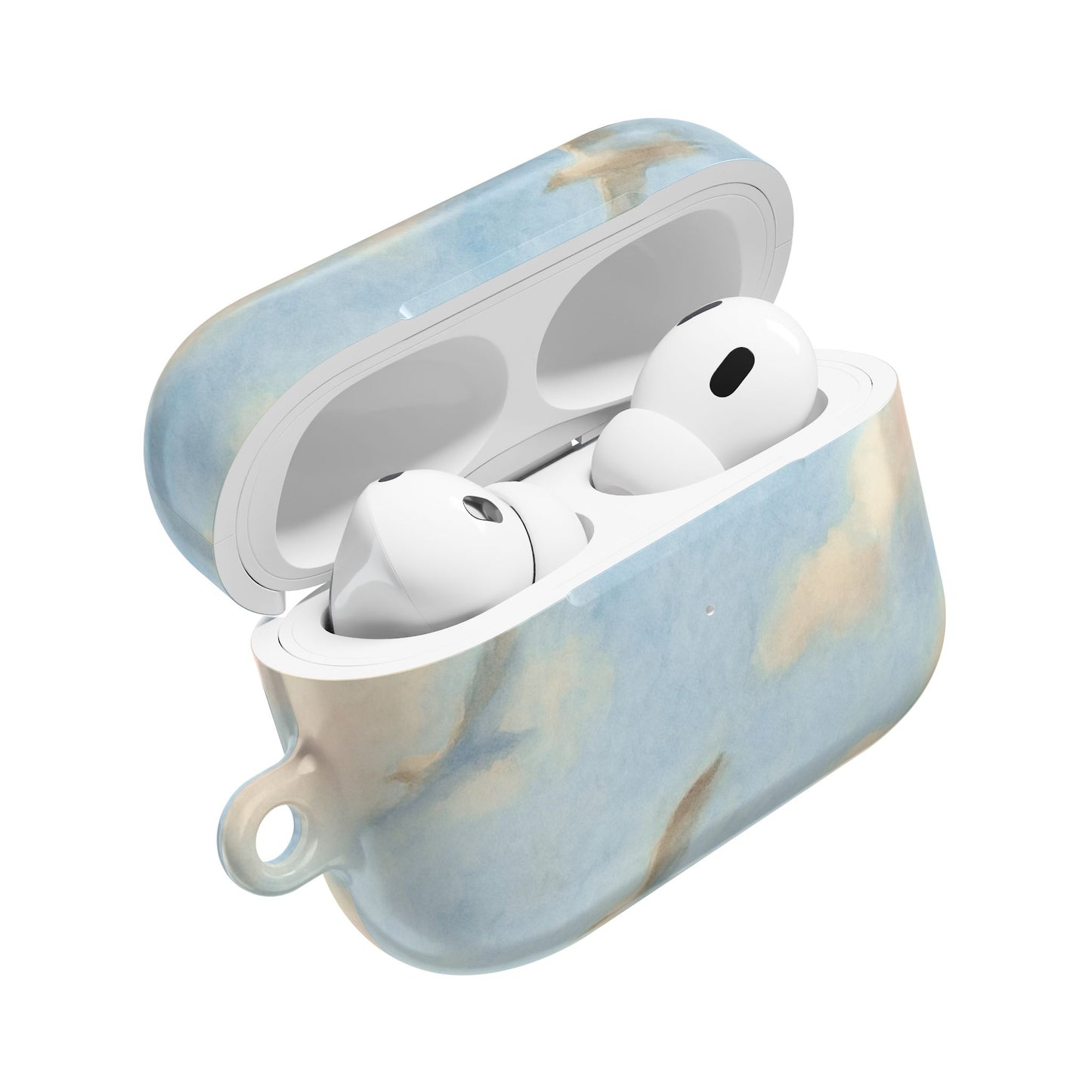 1989 Era Seagulls AirPod Case
