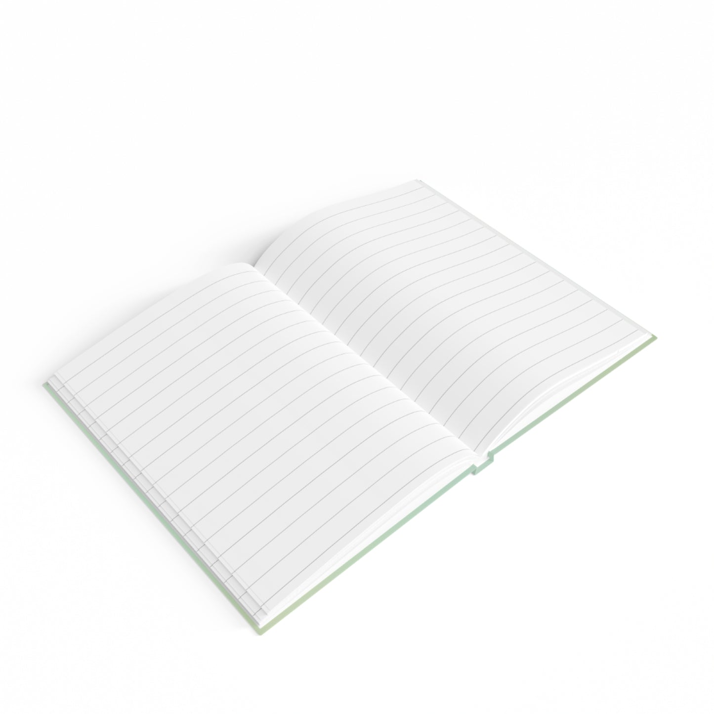 The Life of a Teacher Journal