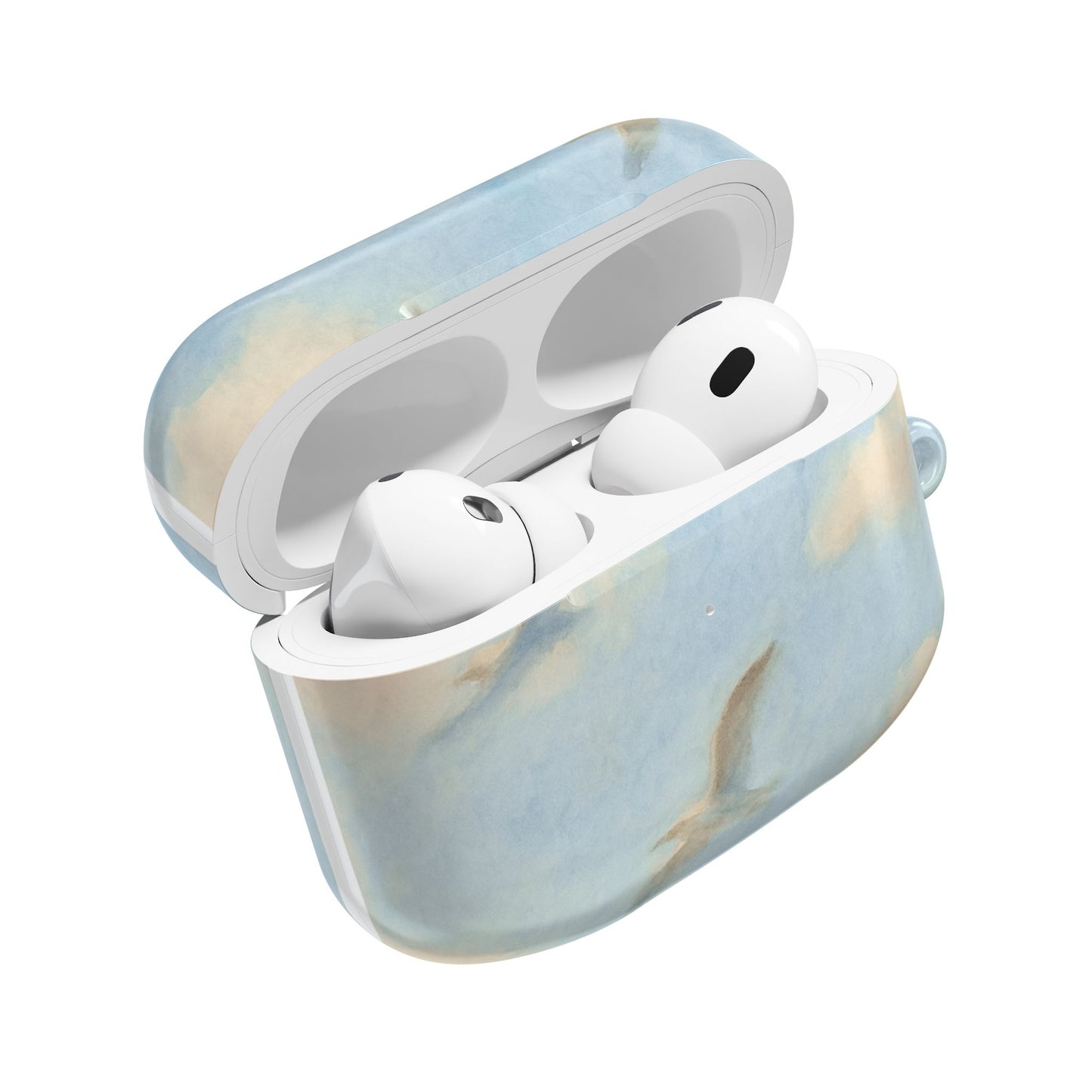 1989 Era Seagulls AirPod Case