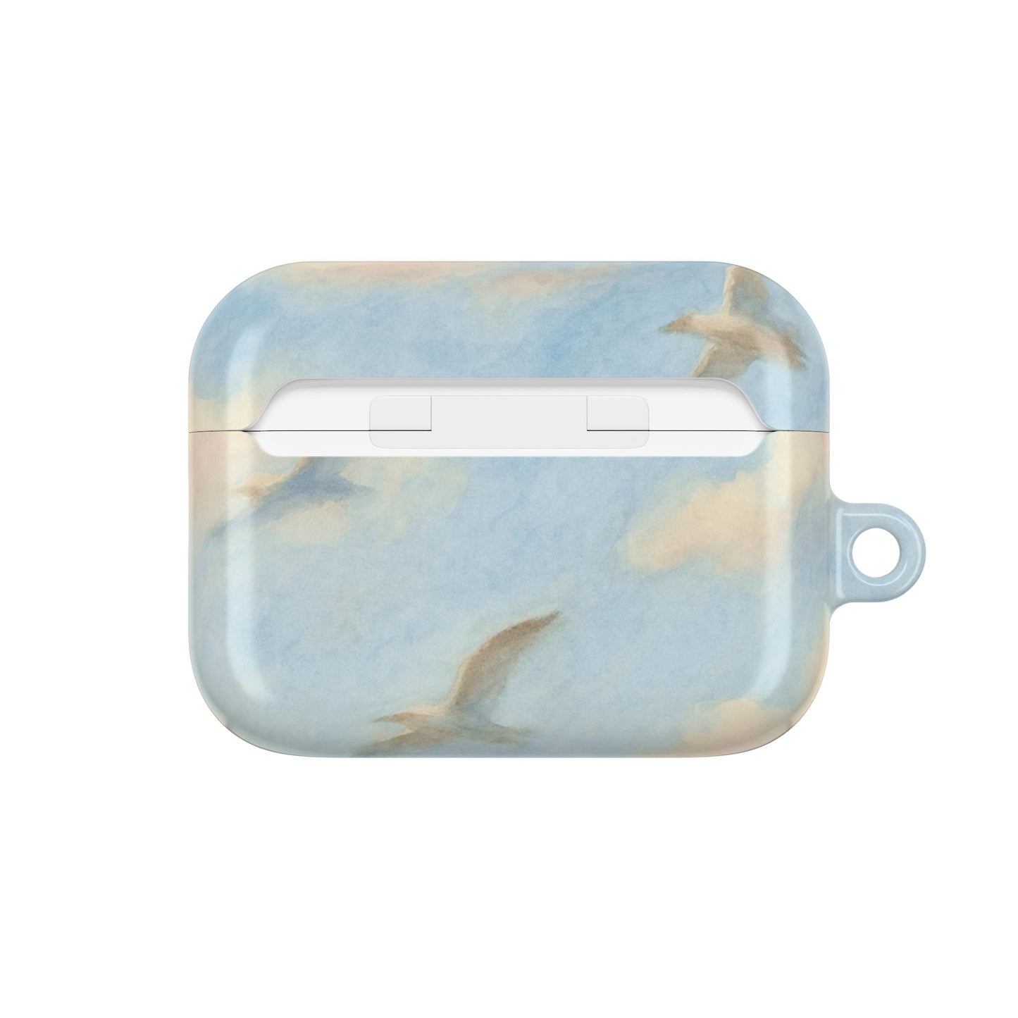 1989 Era Seagulls AirPod Case