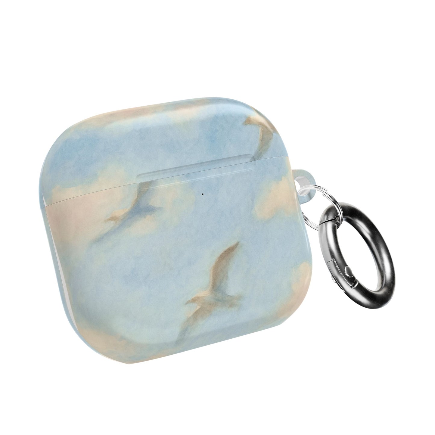 1989 Era Seagulls AirPod Case