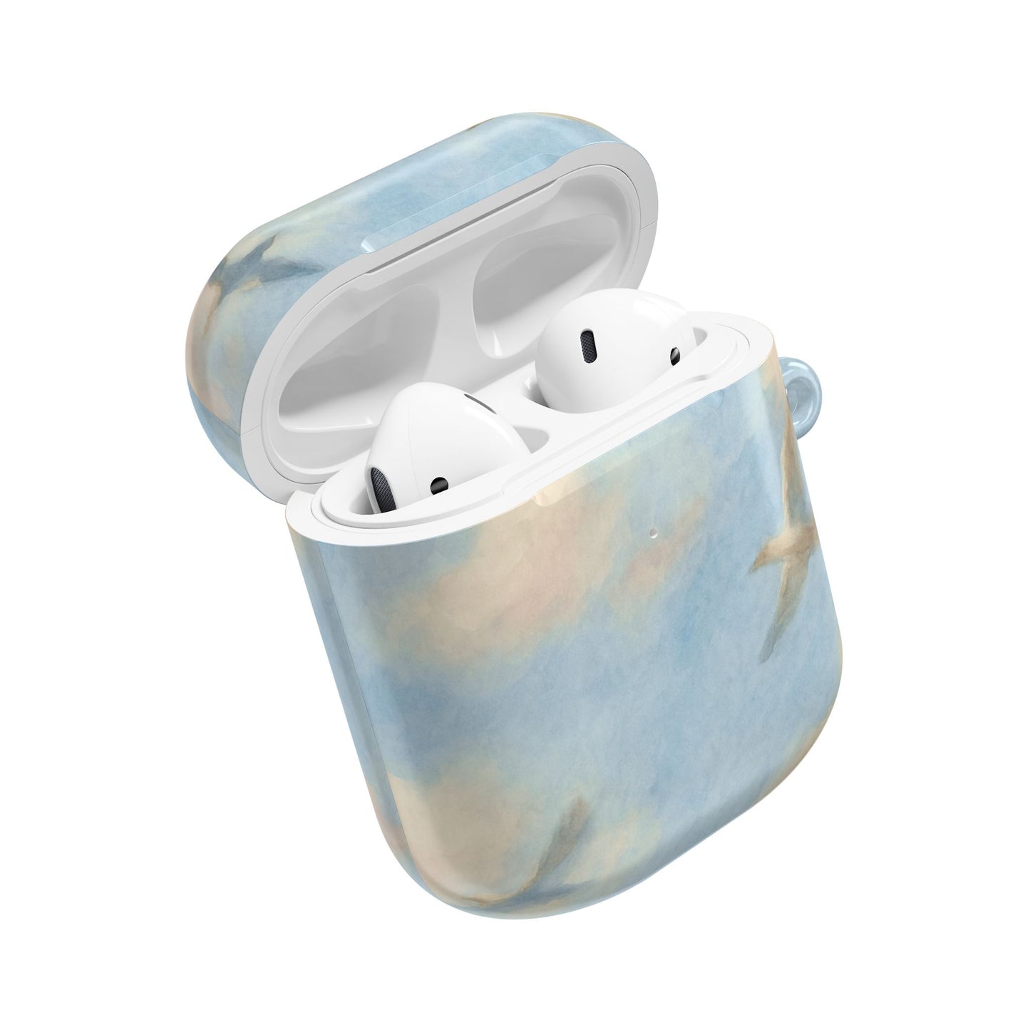 1989 Era Seagulls AirPod Case