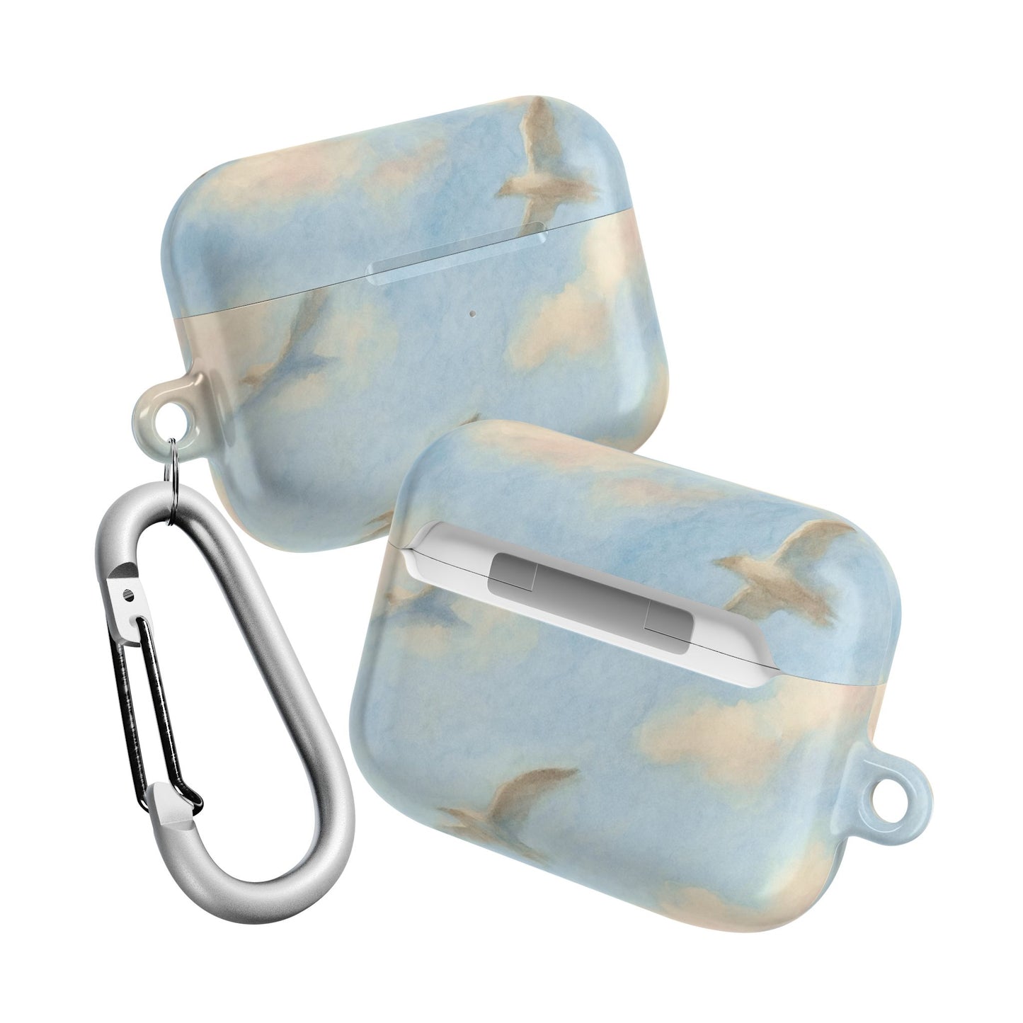 1989 Era Seagulls AirPod Case