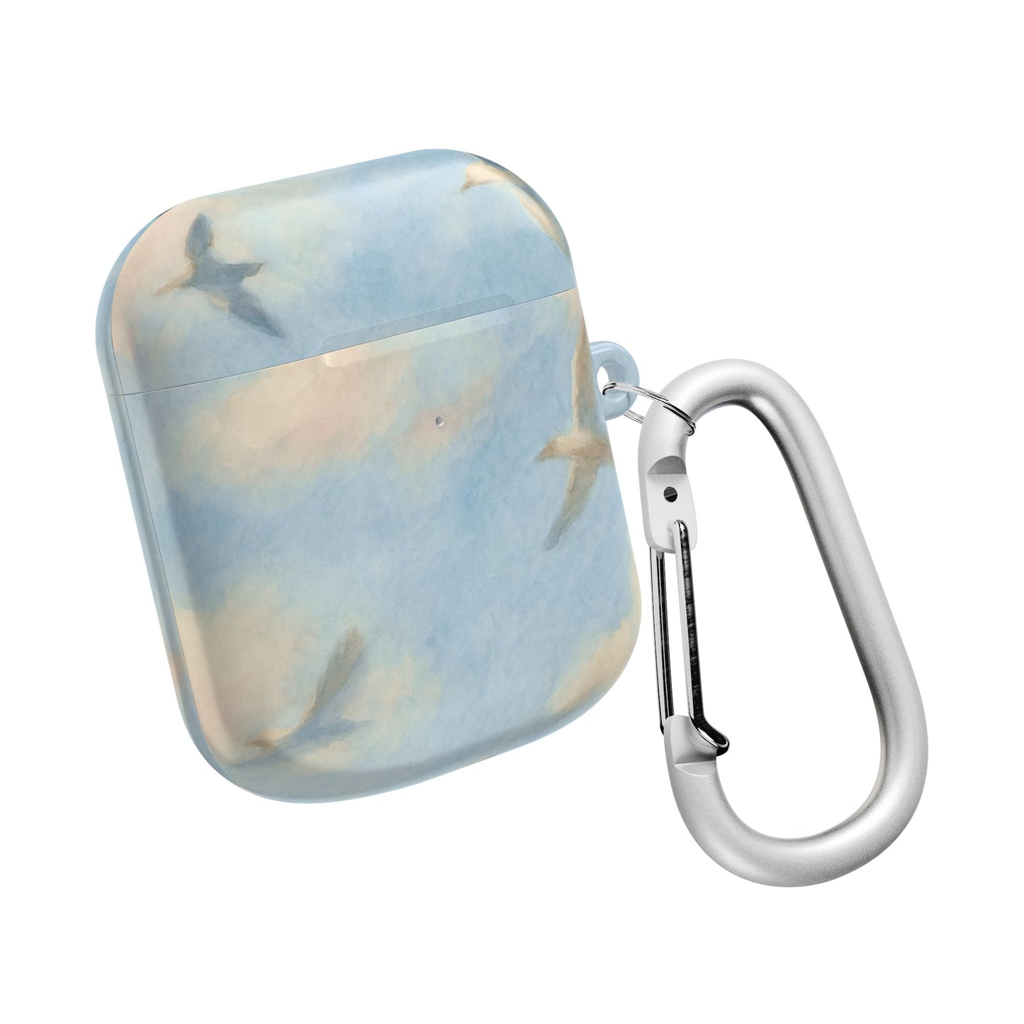 1989 Era Seagulls AirPod Case