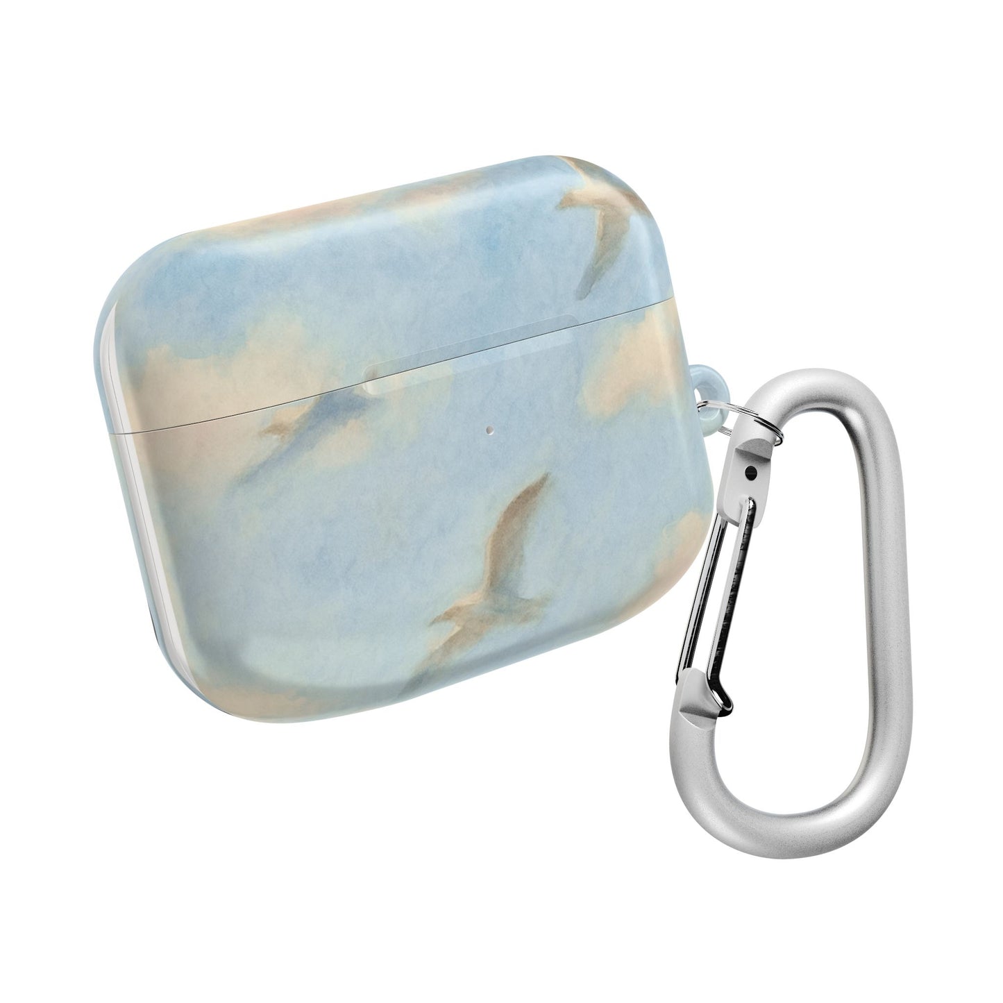 1989 Era Seagulls AirPod Case