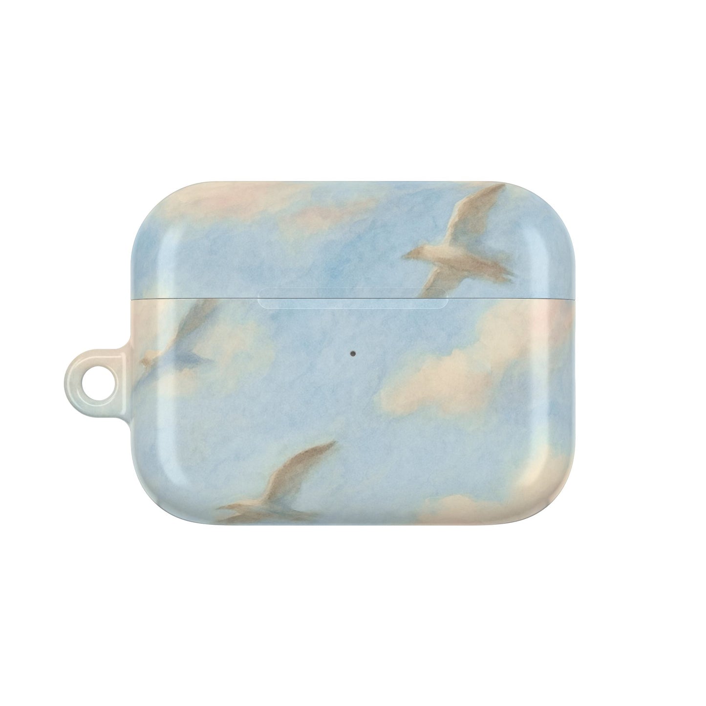 1989 Era Seagulls AirPod Case